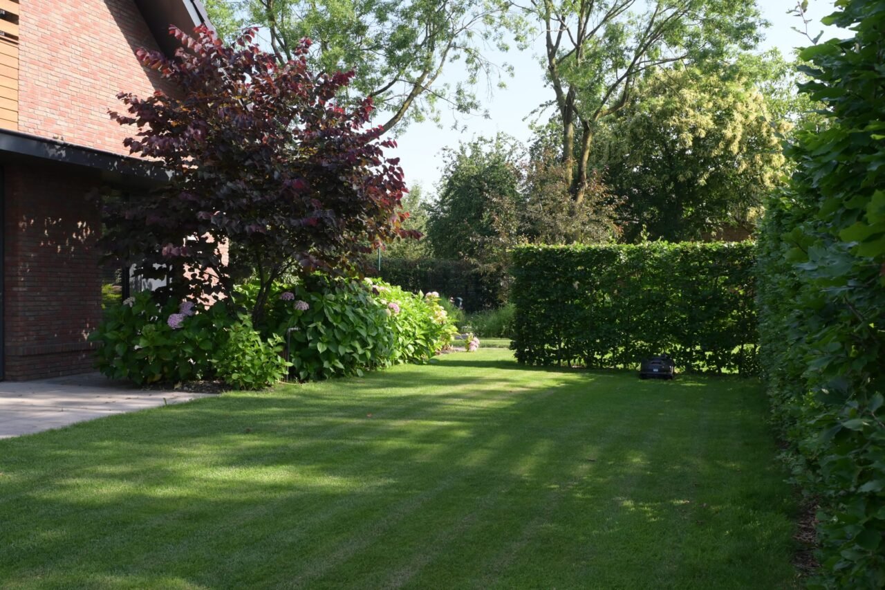 Landelijke tuin met weelderige borders, foto 8