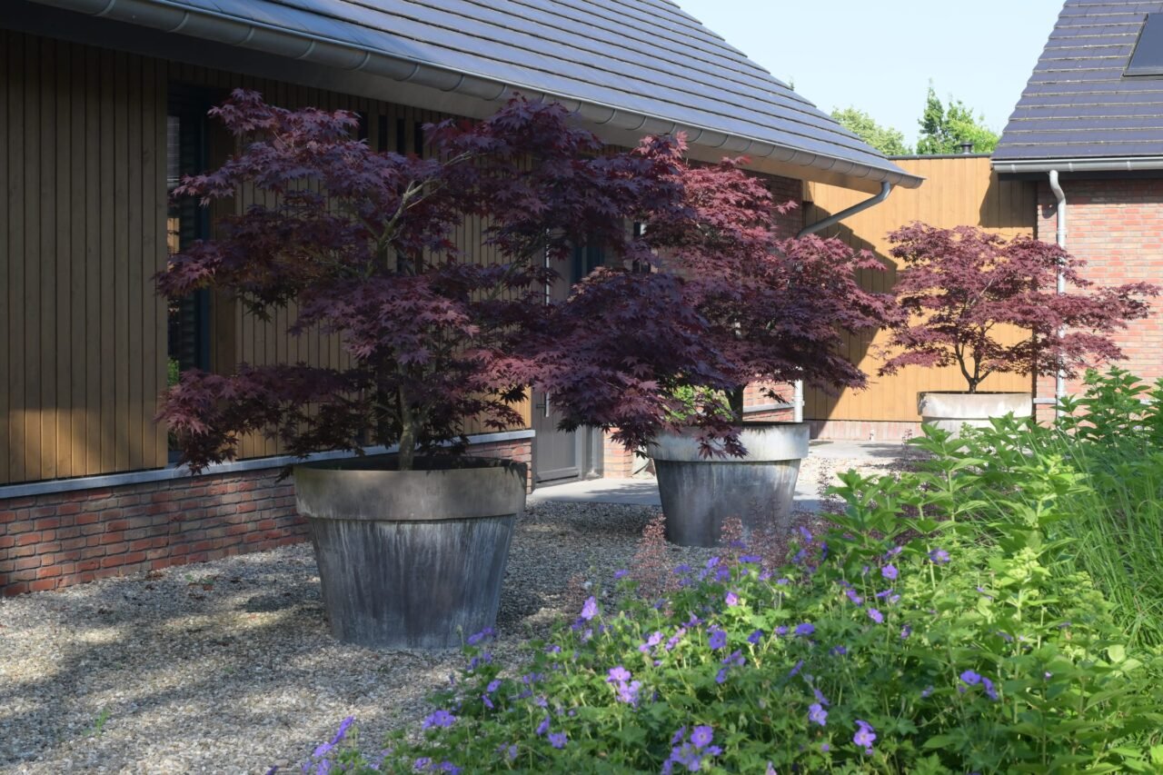 Landelijke tuin met weelderige borders, foto 12
