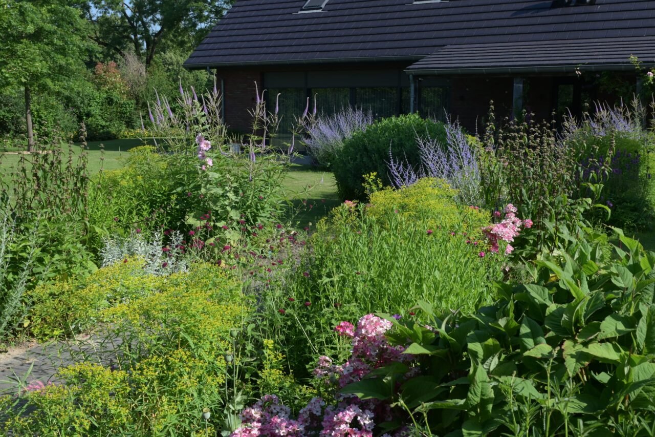 Landelijke tuin met weelderige borders, foto 14