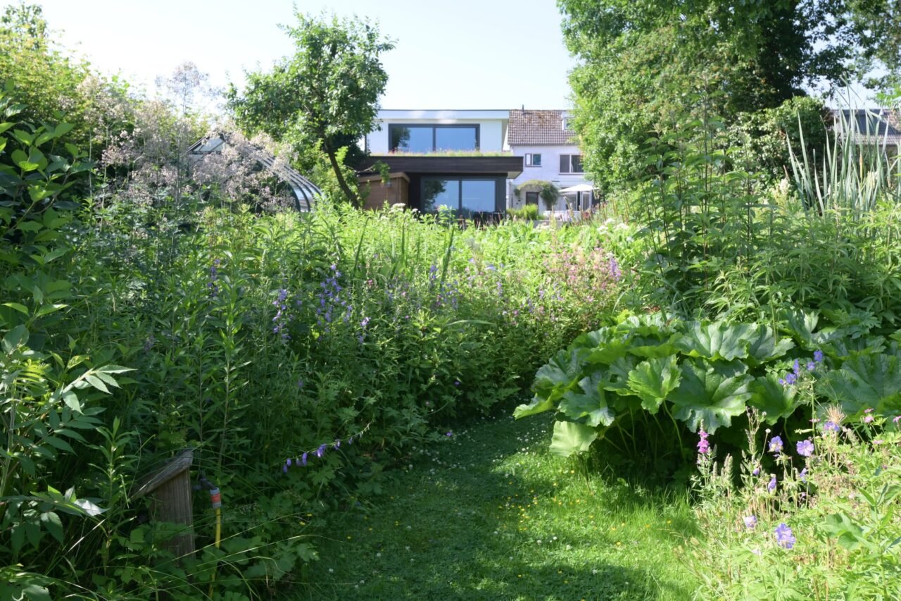 Tuin met groendak op het bijgebouw, foto 3