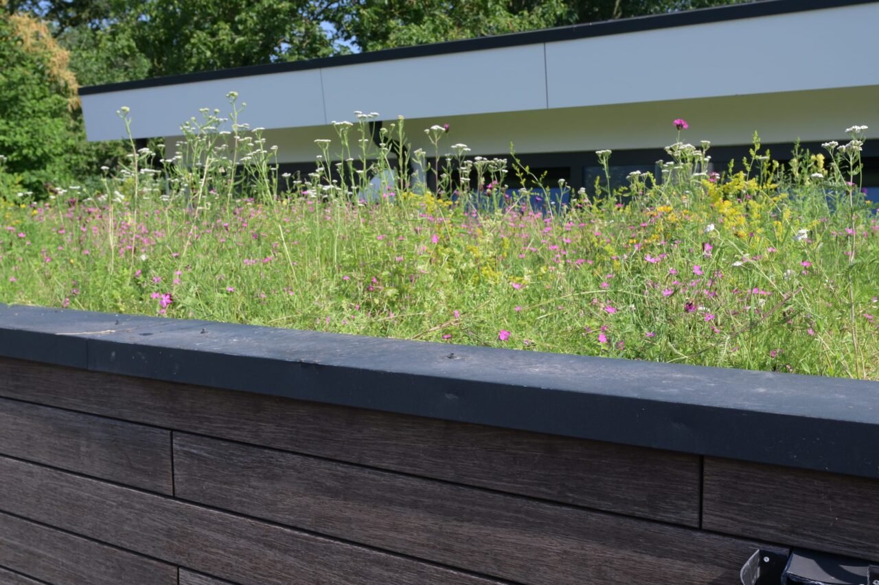 Tuin met groendak op het bijgebouw, foto 4