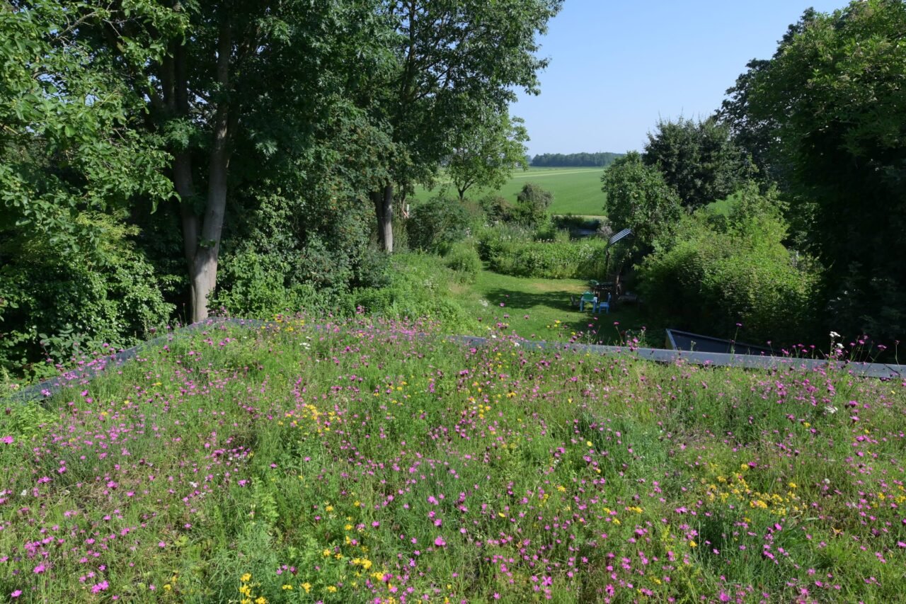 Tuin met groendak op het bijgebouw, foto 6