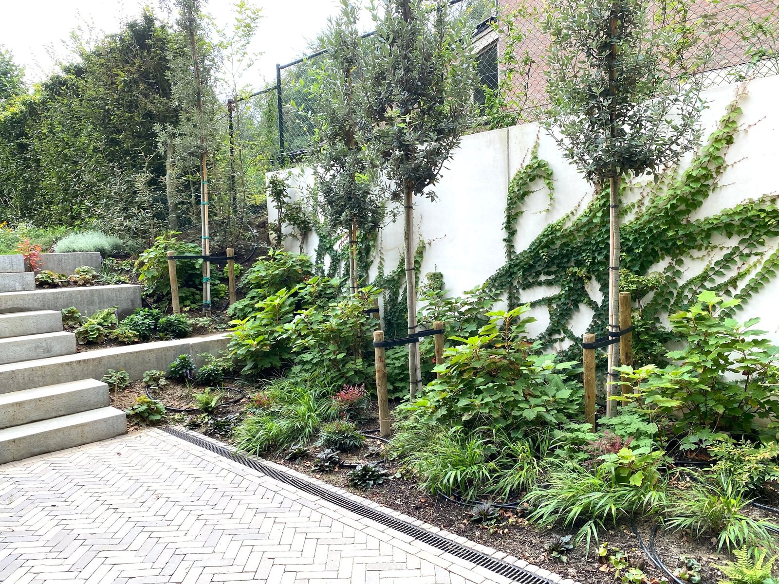Tuin met hoogteverschil en betonnen trappen