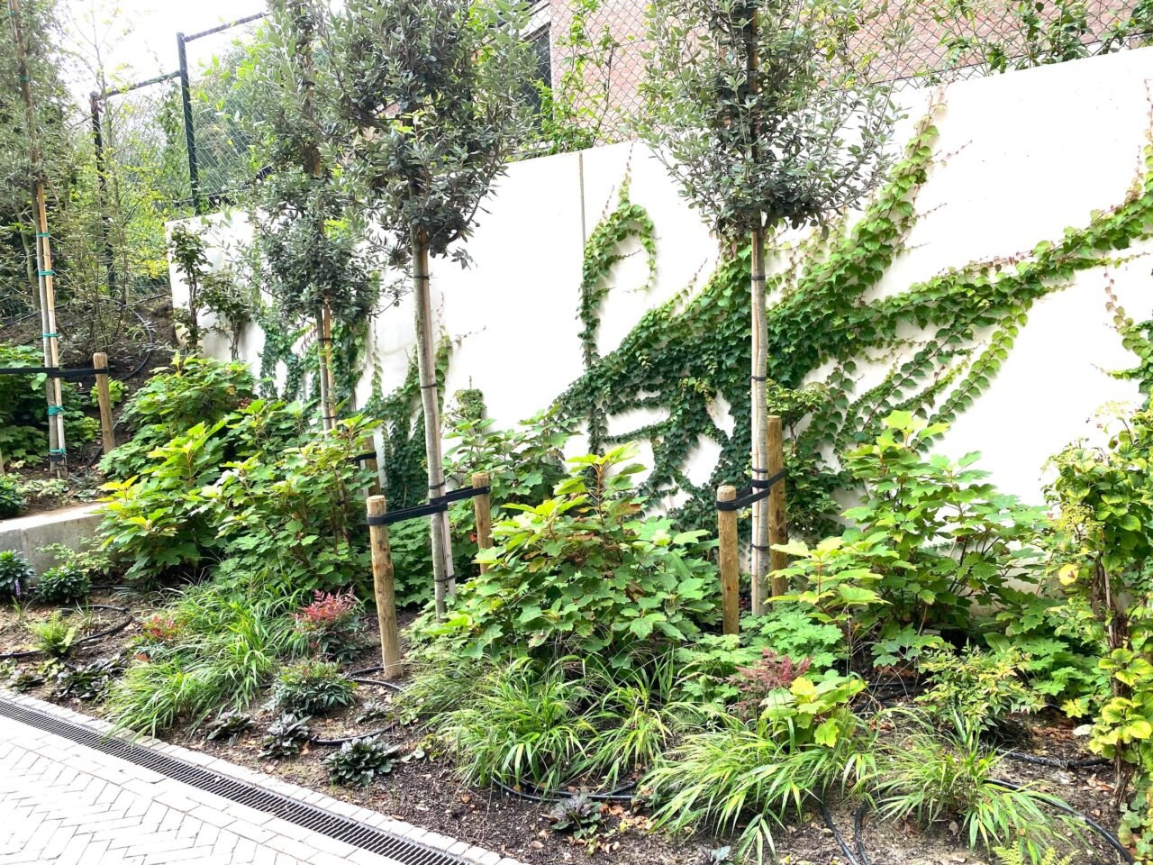 Tuin met hoogteverschil en betonnen trappen, foto 1