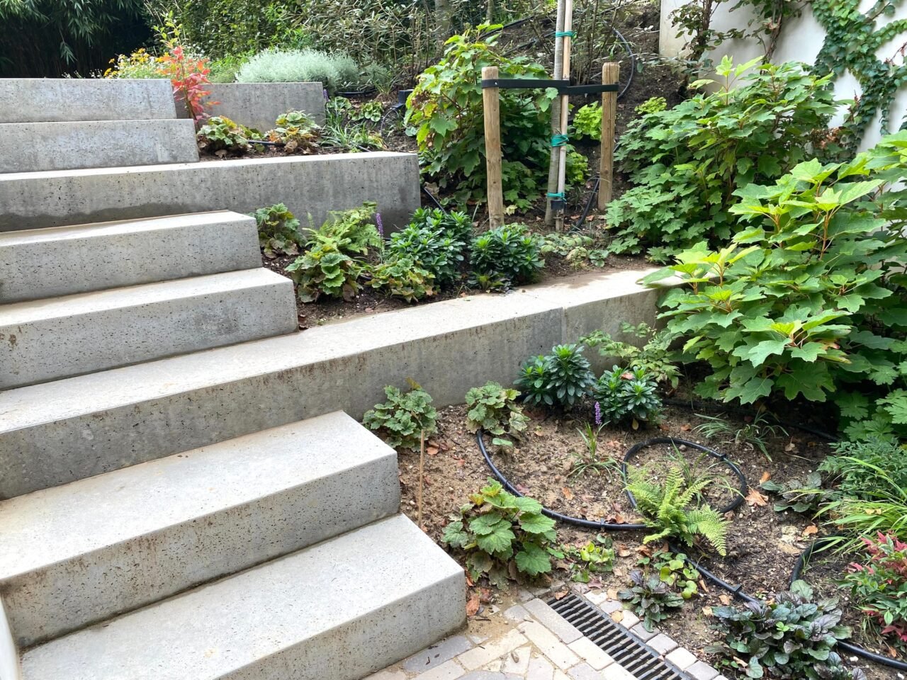 Tuin met hoogteverschil en betonnen trappen, foto 2