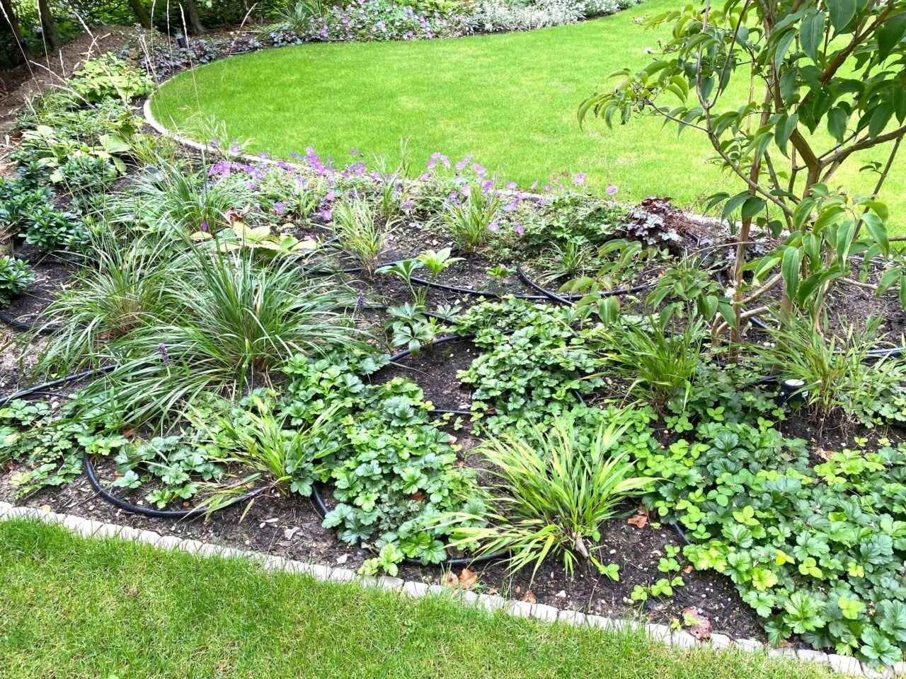 Tuin met hoogteverschil en betonnen trappen, foto 4