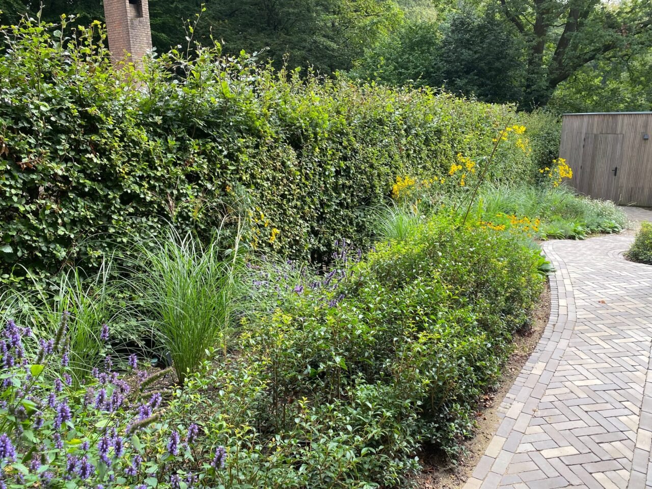 Tuin met hoogteverschil en betonnen trappen, foto 5