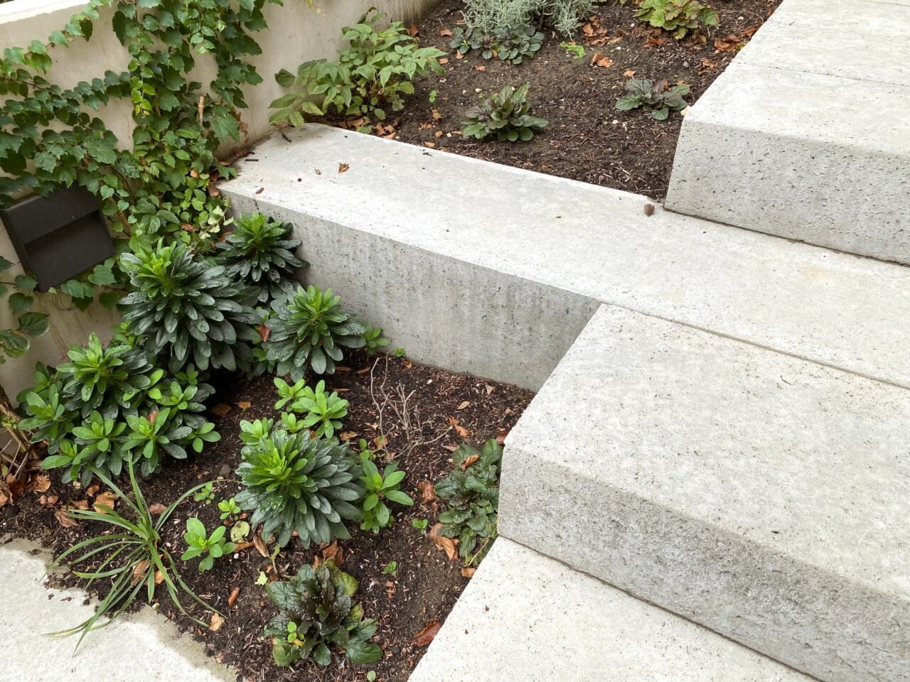Tuin met hoogteverschil en betonnen trappen, foto 13