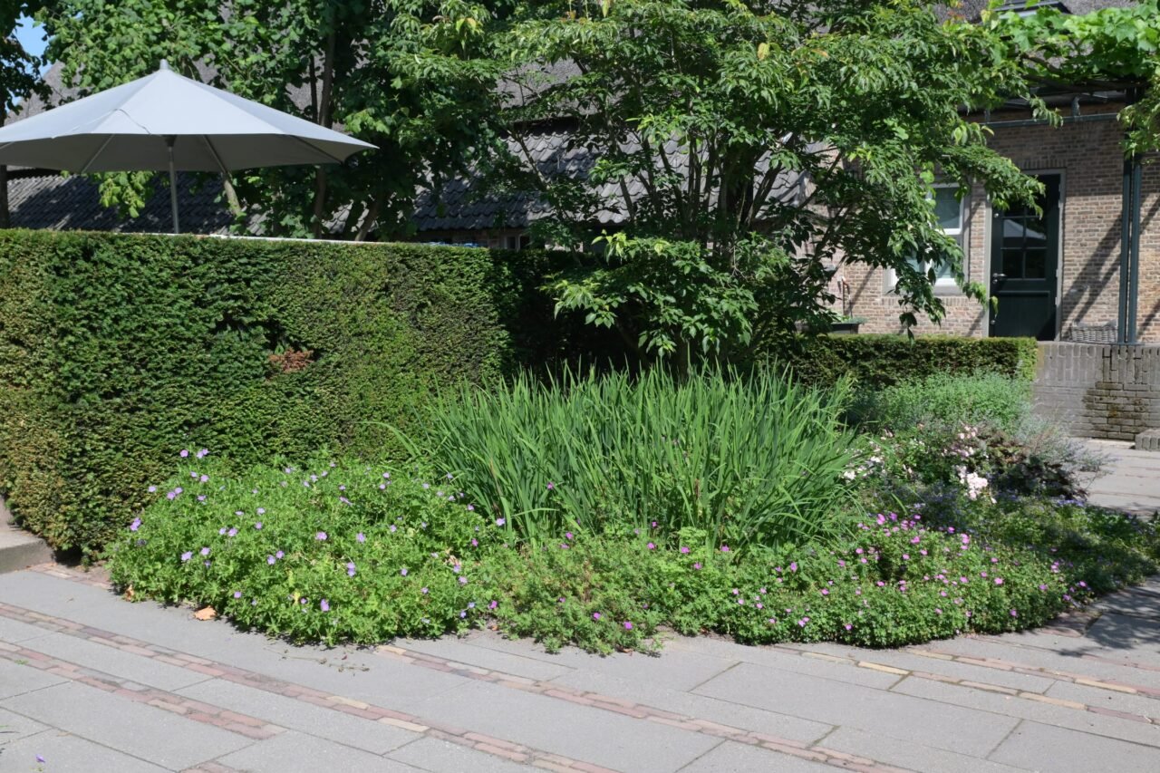 Tuin met zwembad en strakke hagen, foto 8